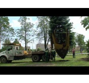Embedded thumbnail for Механизм для перевозки деревьев на корню